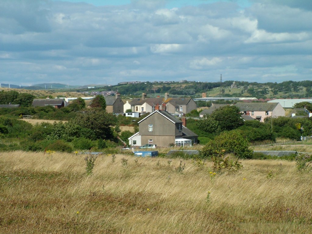 Click now to see this image full size.