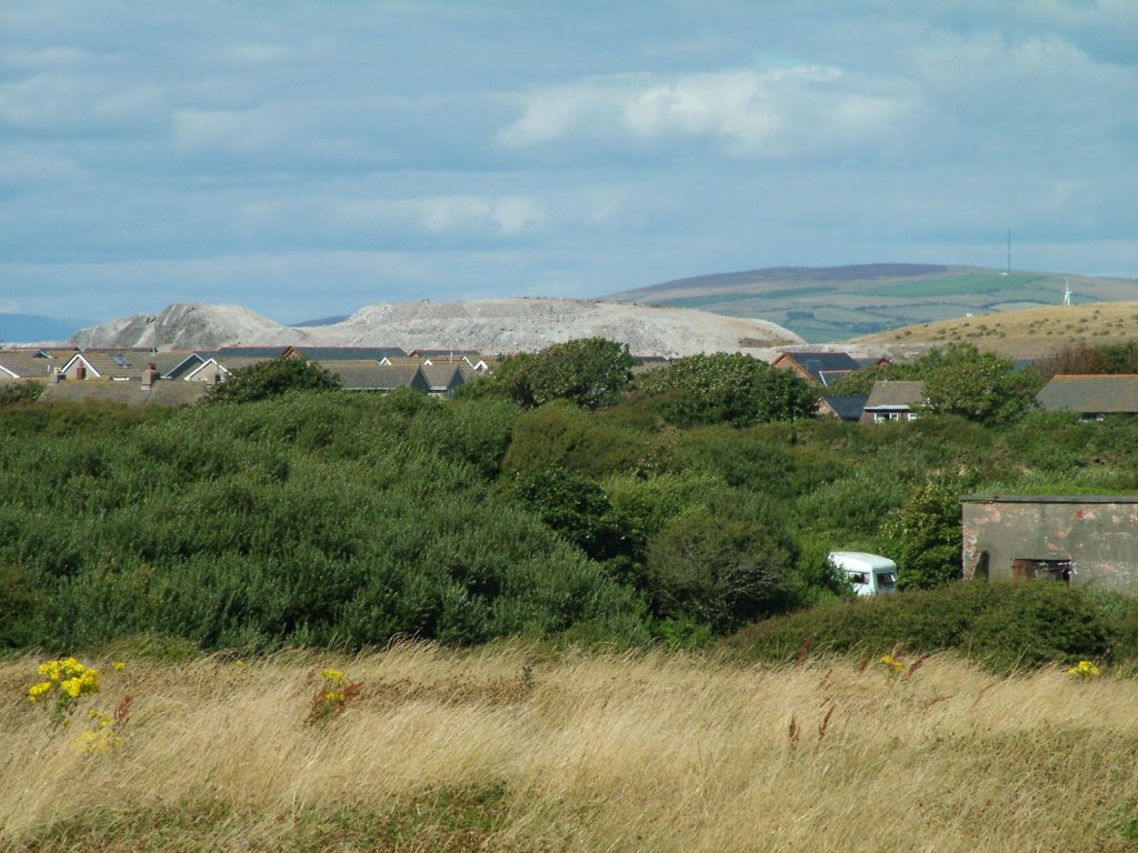 Click now to see this image full size.