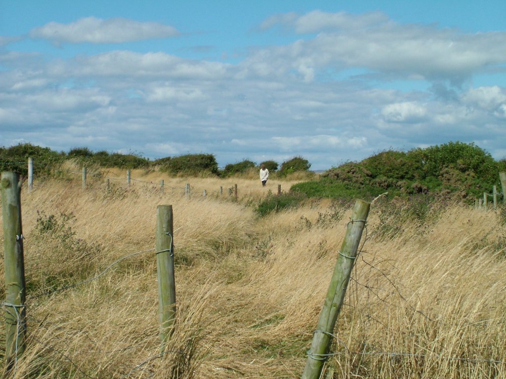 Click now to see this image full size.