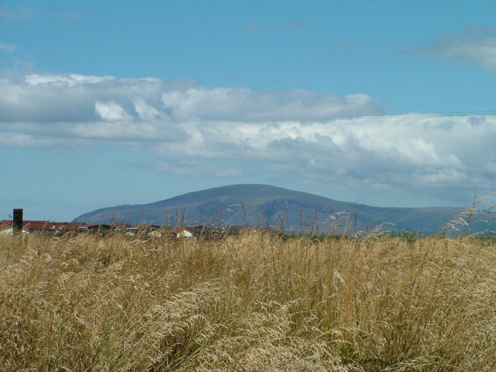 Click now to see this image full size.