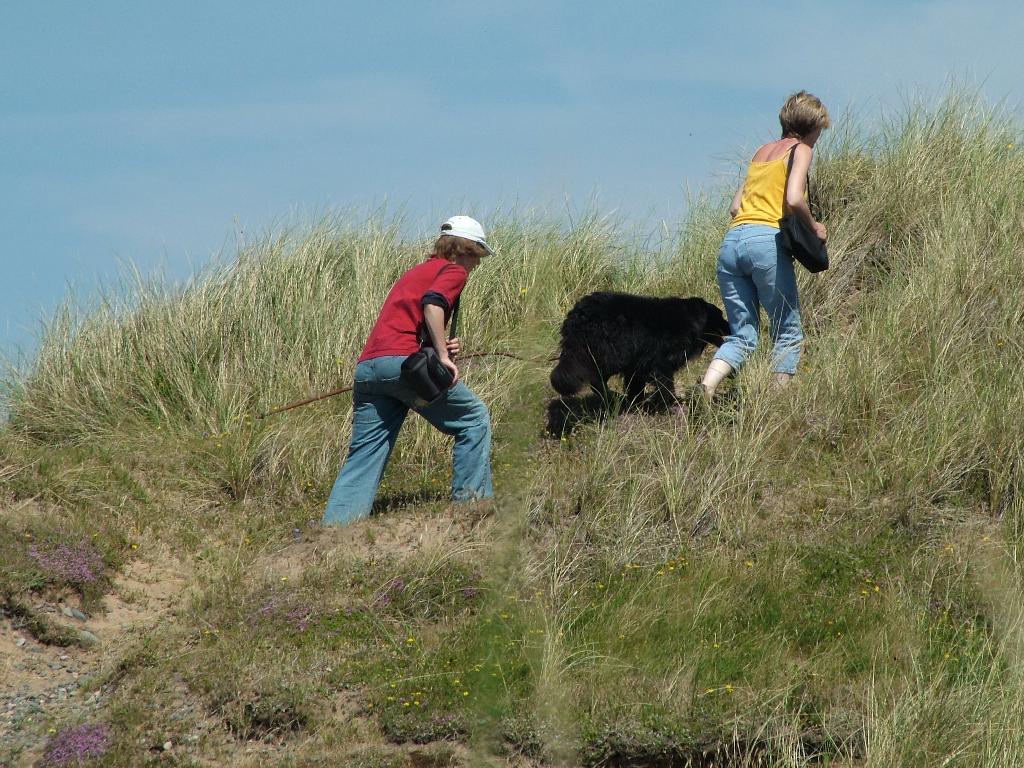 Click now to see this image full size.