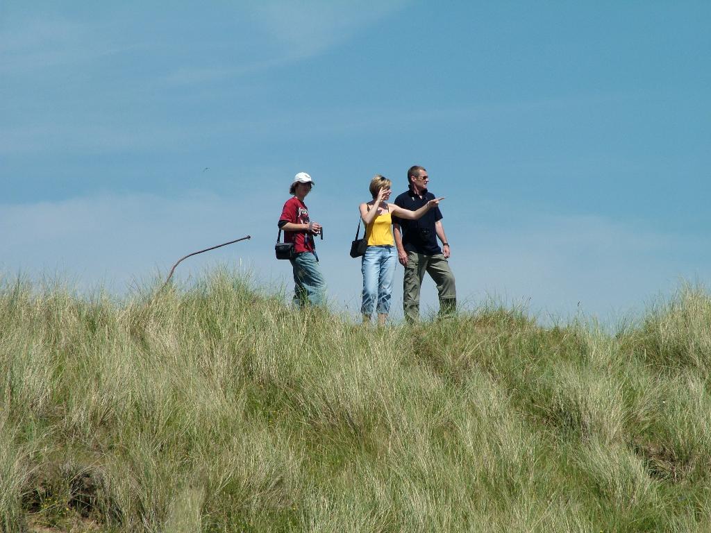 Click now to see this image full size.