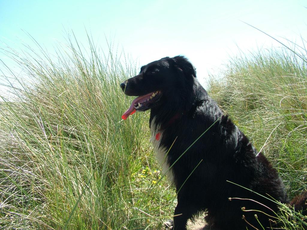 Click now to see this image full size.