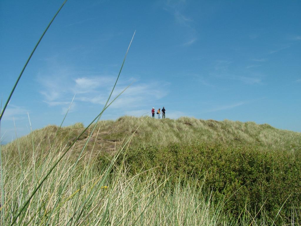 Click now to see this image full size.