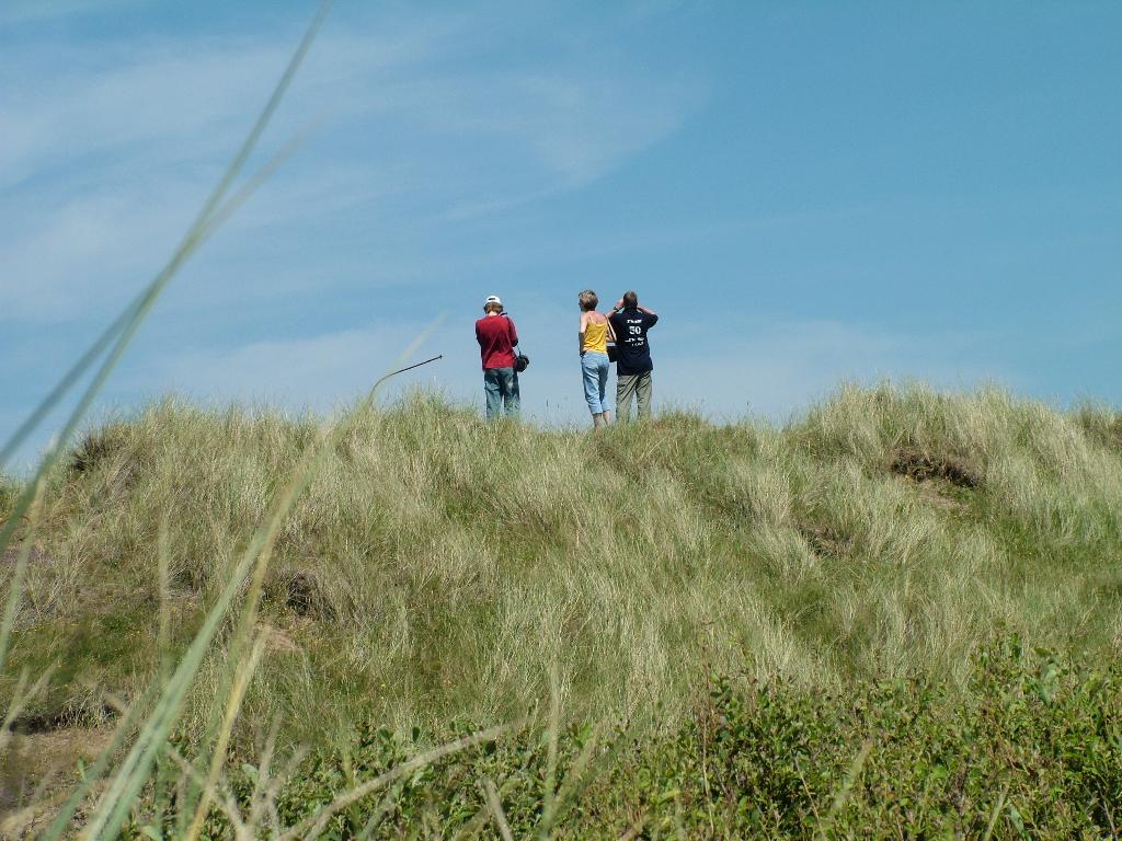 Click now to see this image full size.