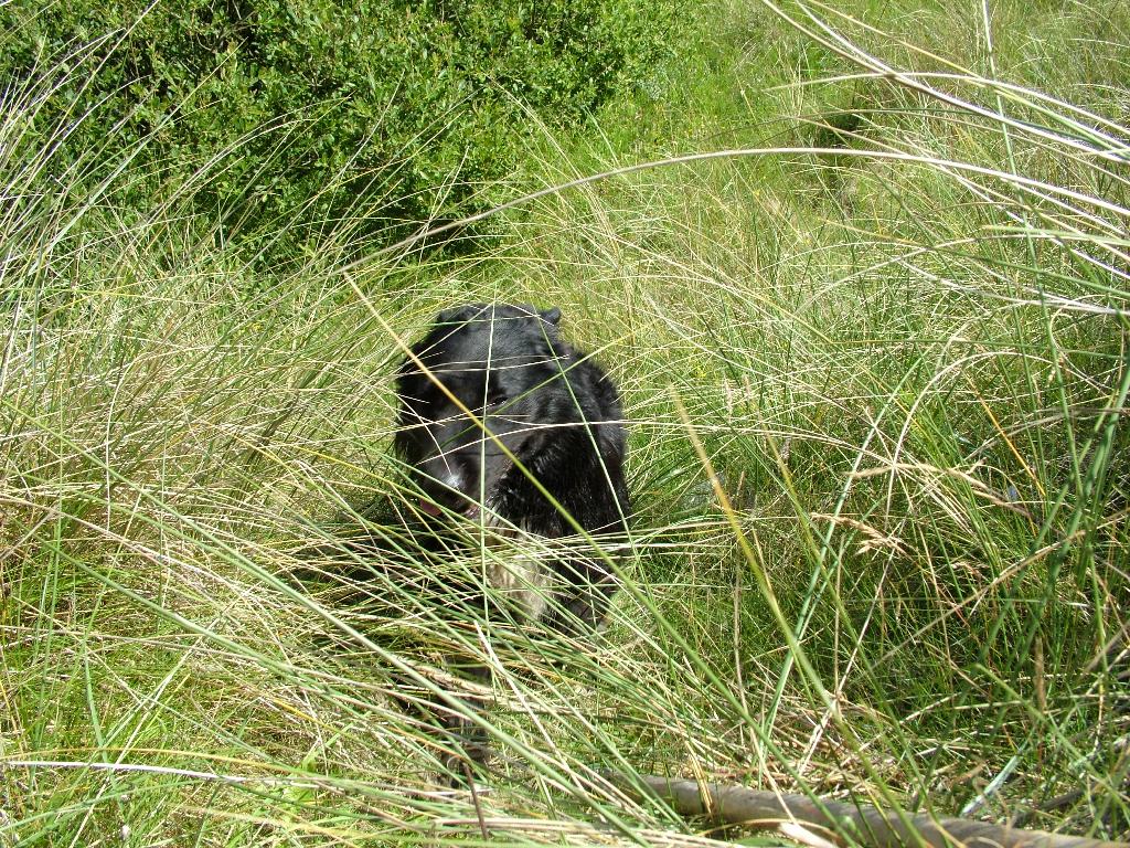 Click now to see this image full size.