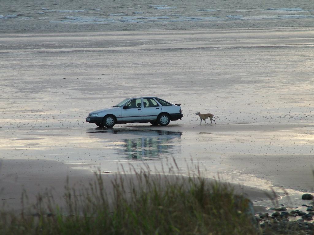 Click now to see this image full size.