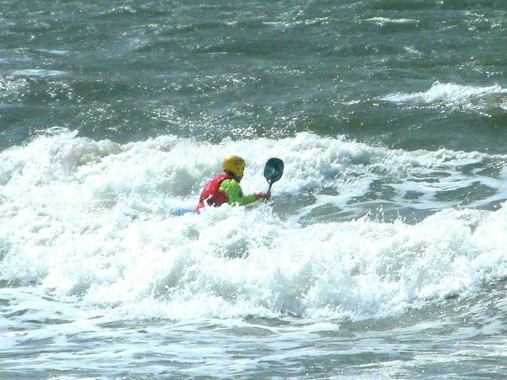 Click now to see this image full size.