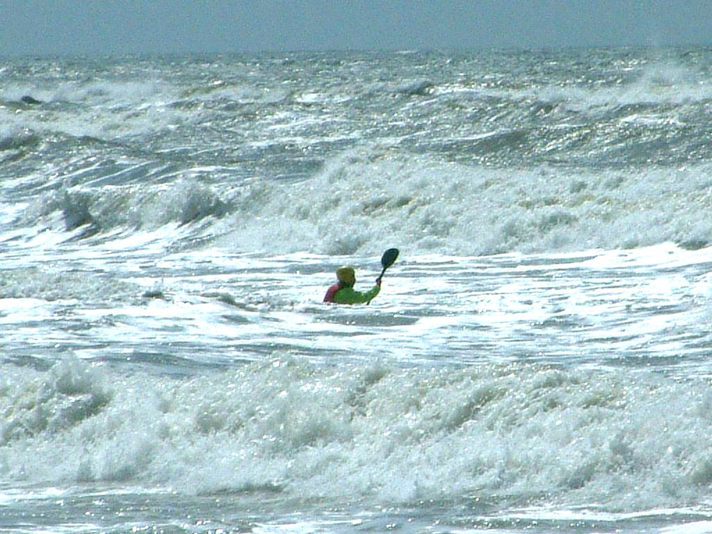 Click now to see this image full size.