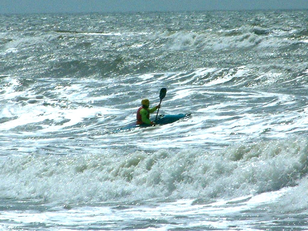 Click now to see this image full size.