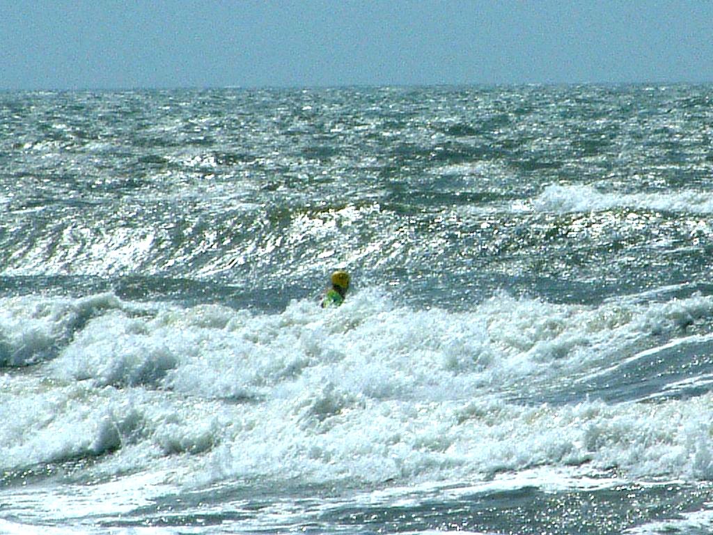 Click now to see this image full size.