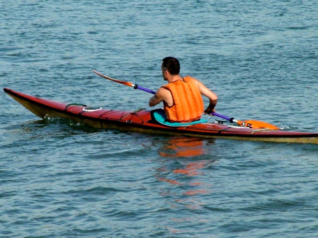 Click now to see this image full size.