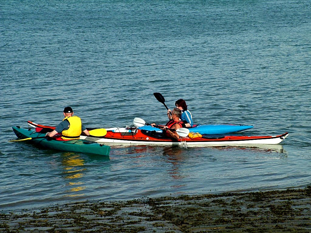 Click now to see this image full size.