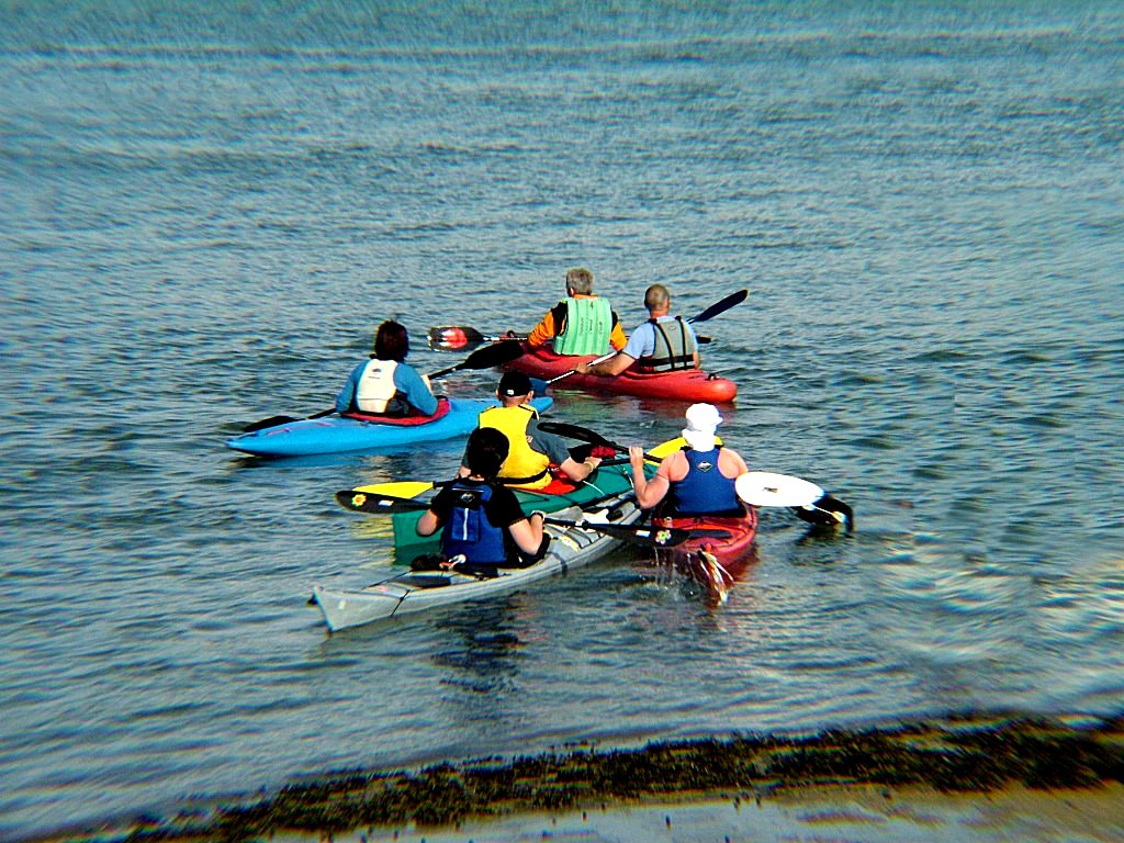 Click now to see this image full size.