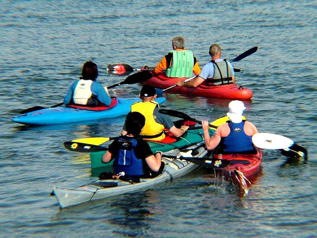 Click now to see this image full size.