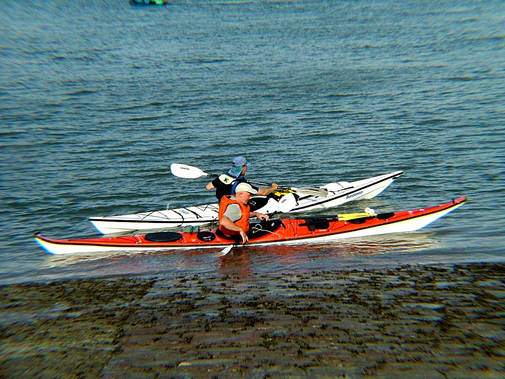 Click now to see this image full size.