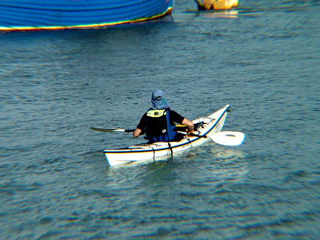 Click now to see this image full size.