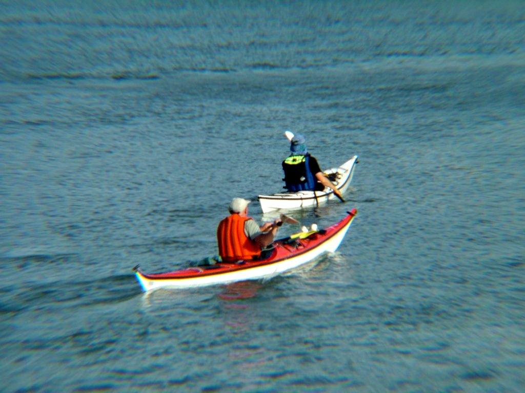 Click now to see this image full size.