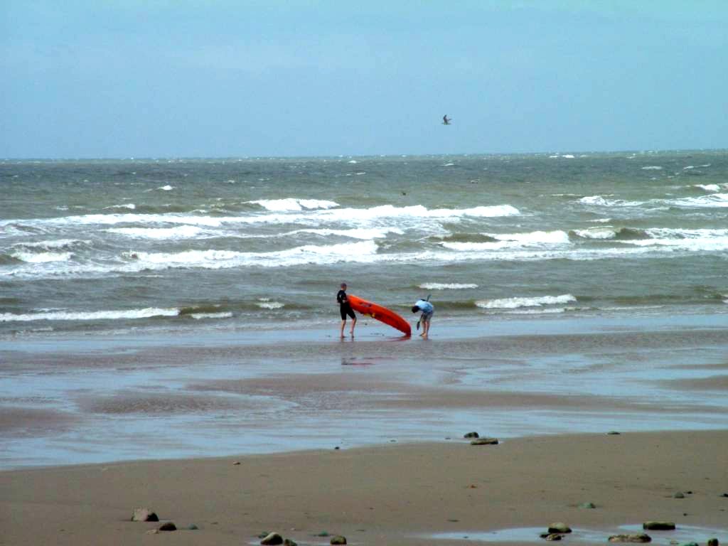 Click now to see this image full size.