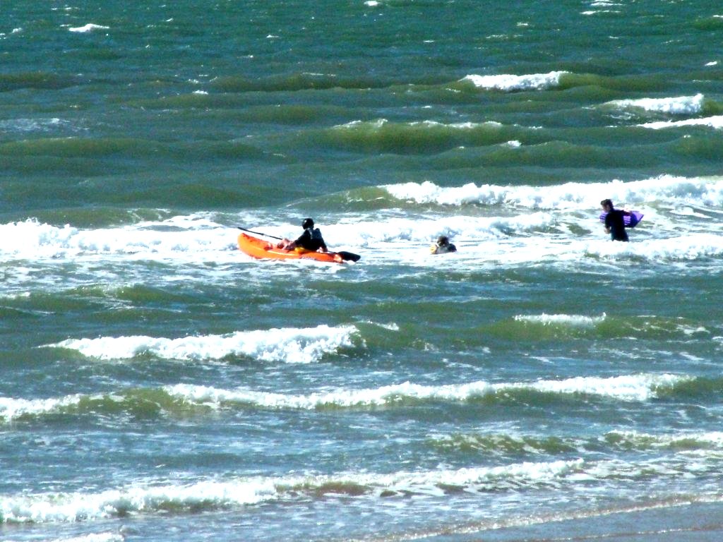 Click now to see this image full size.