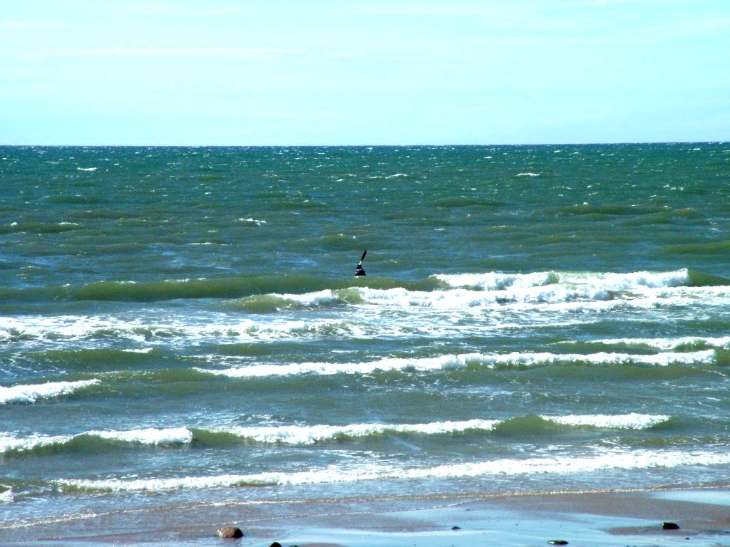 Click now to see this image full size.