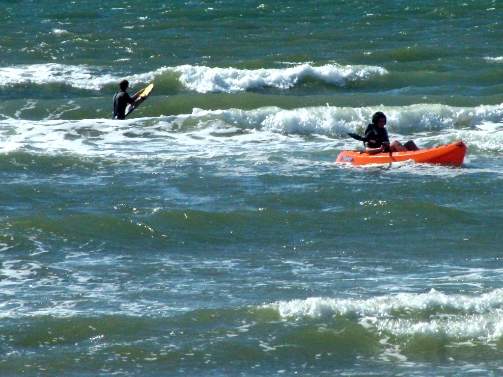 Click now to see this image full size.