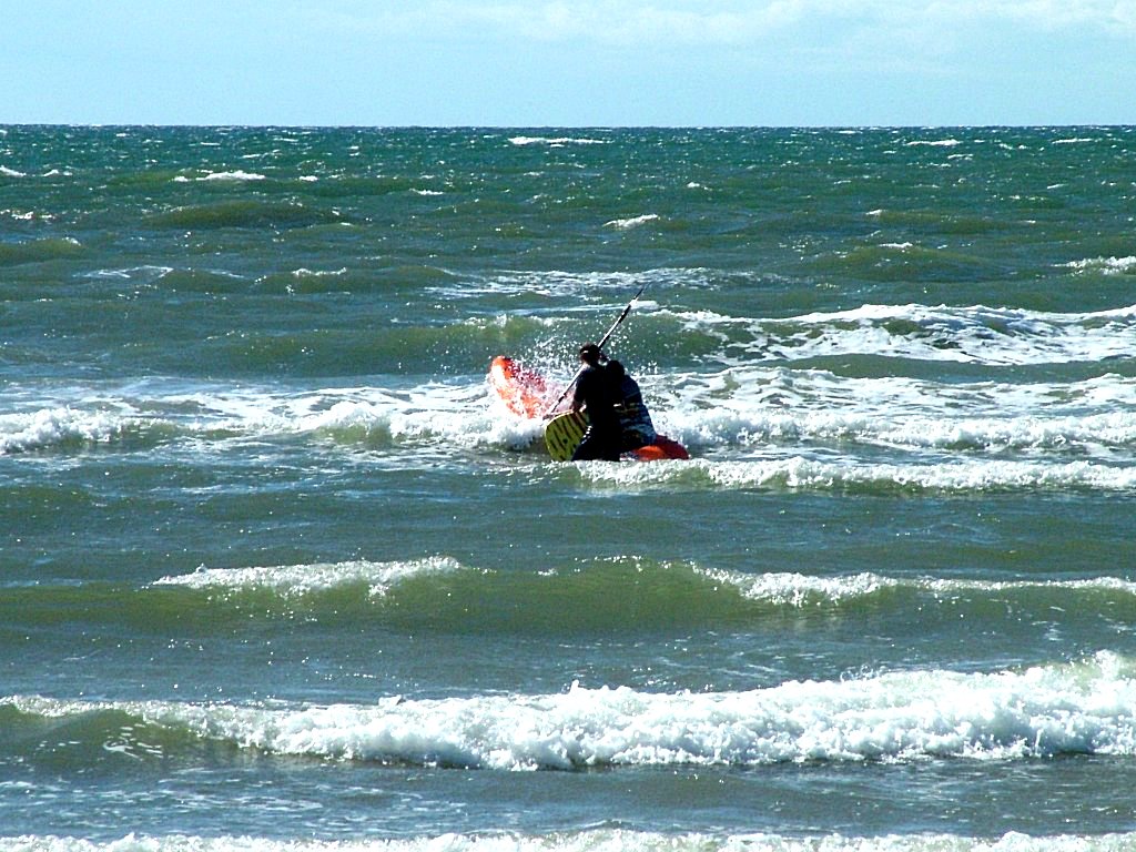 Click now to see this image full size.