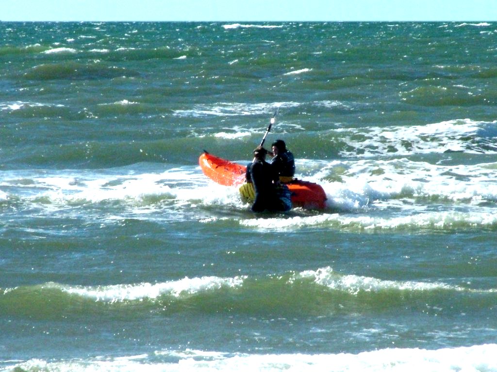 Click now to see this image full size.