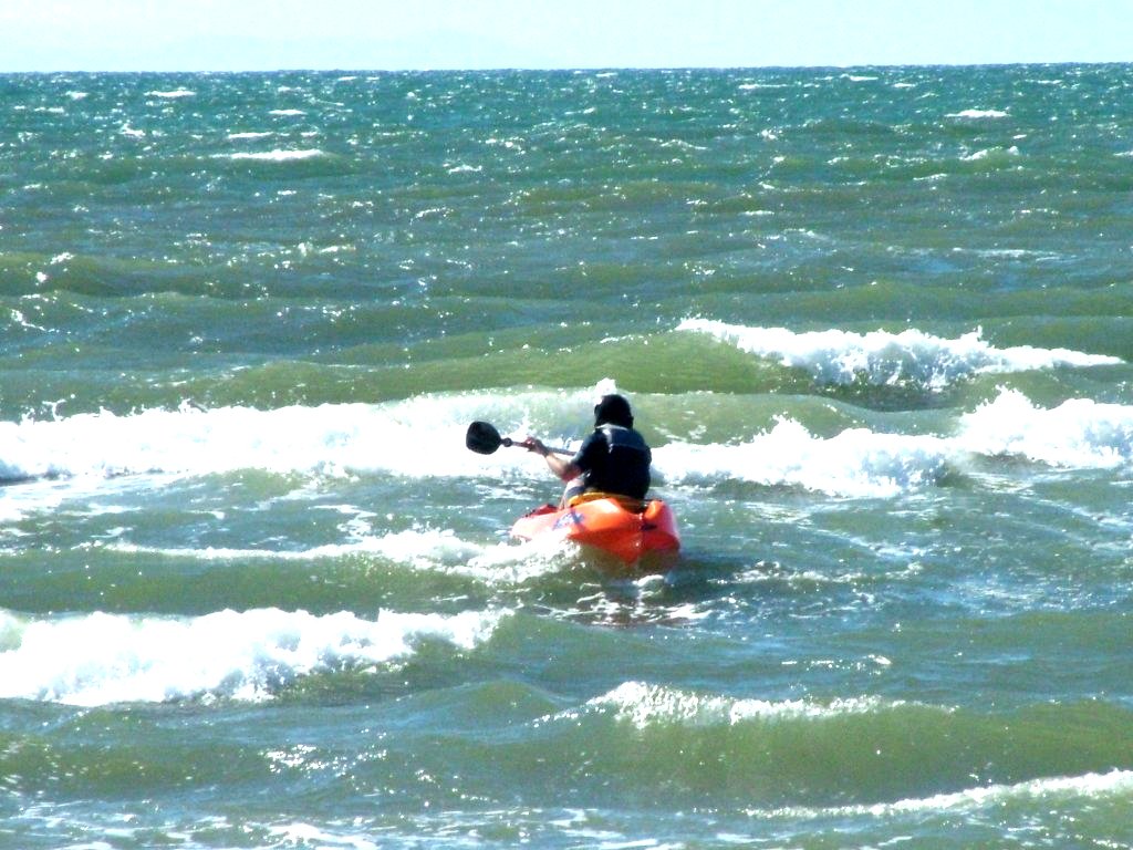 Click now to see this image full size.