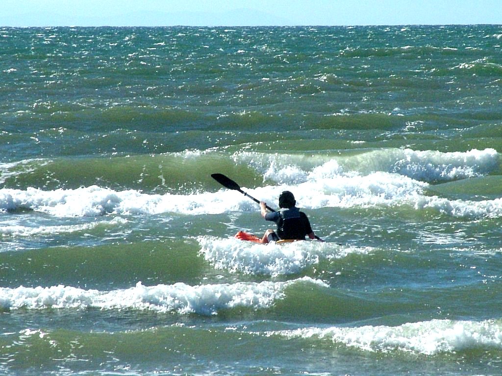 Click now to see this image full size.