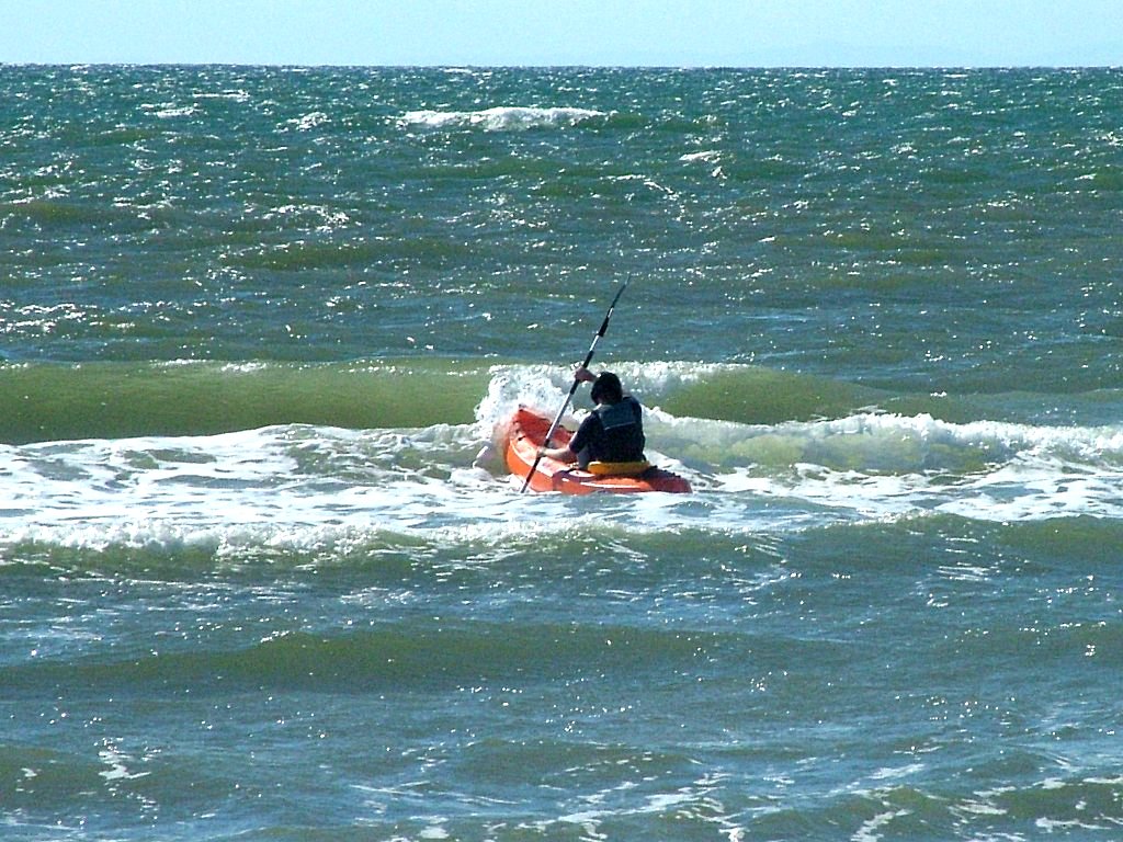 Click now to see this image full size.