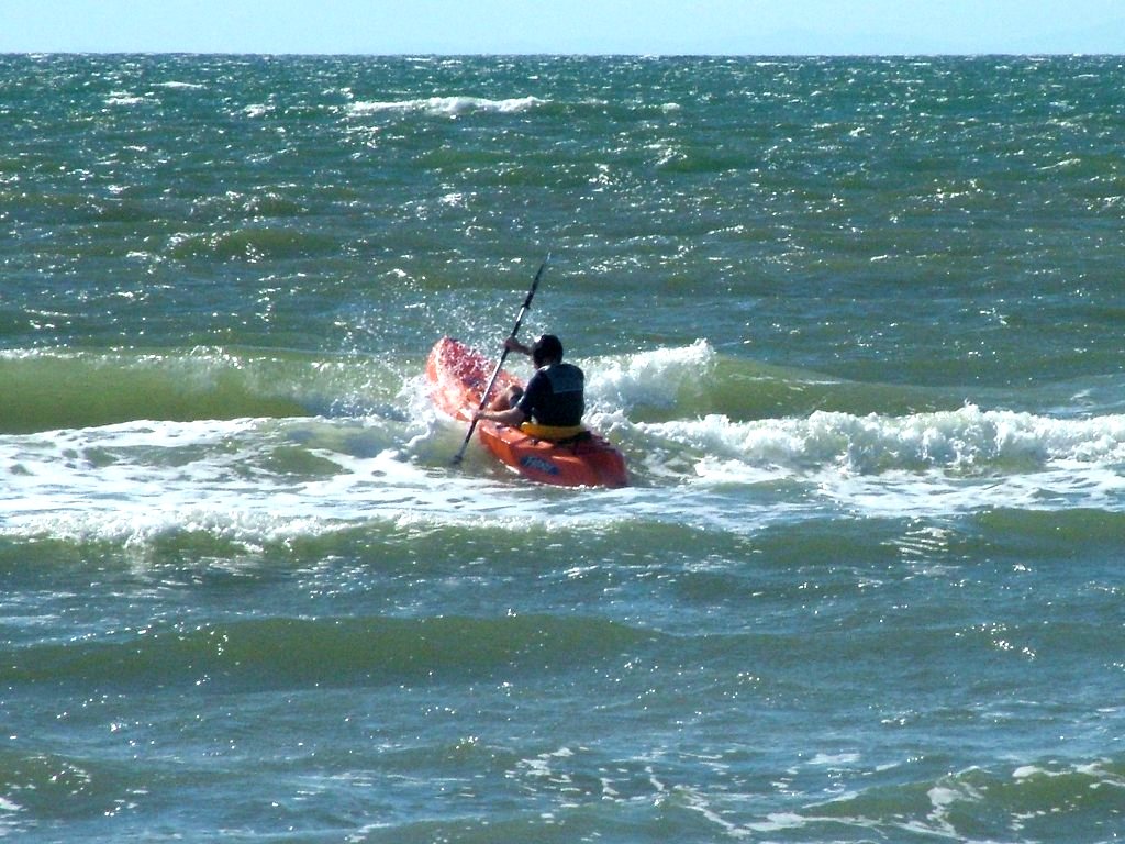 Click now to see this image full size.