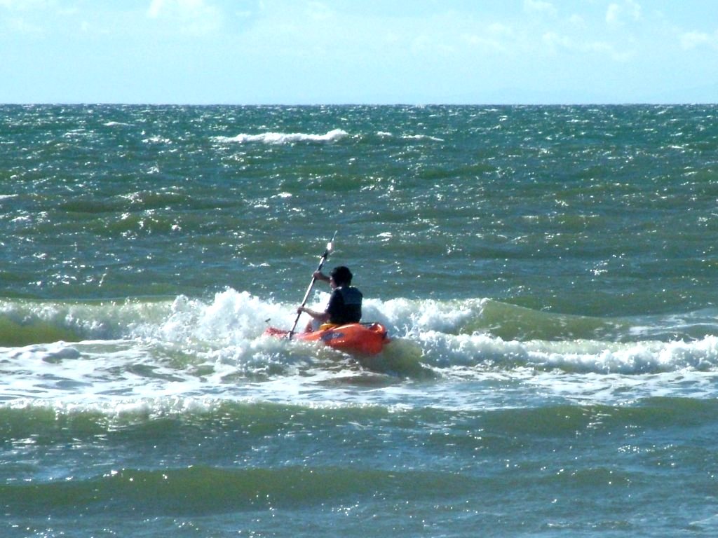 Click now to see this image full size.