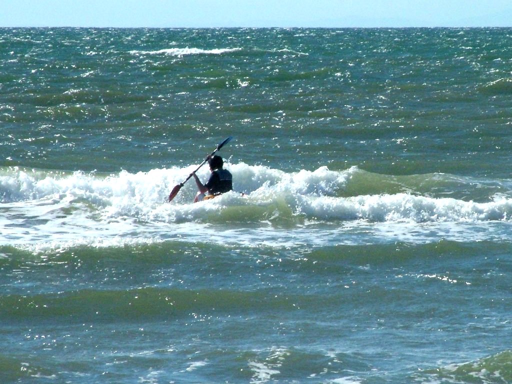 Click now to see this image full size.