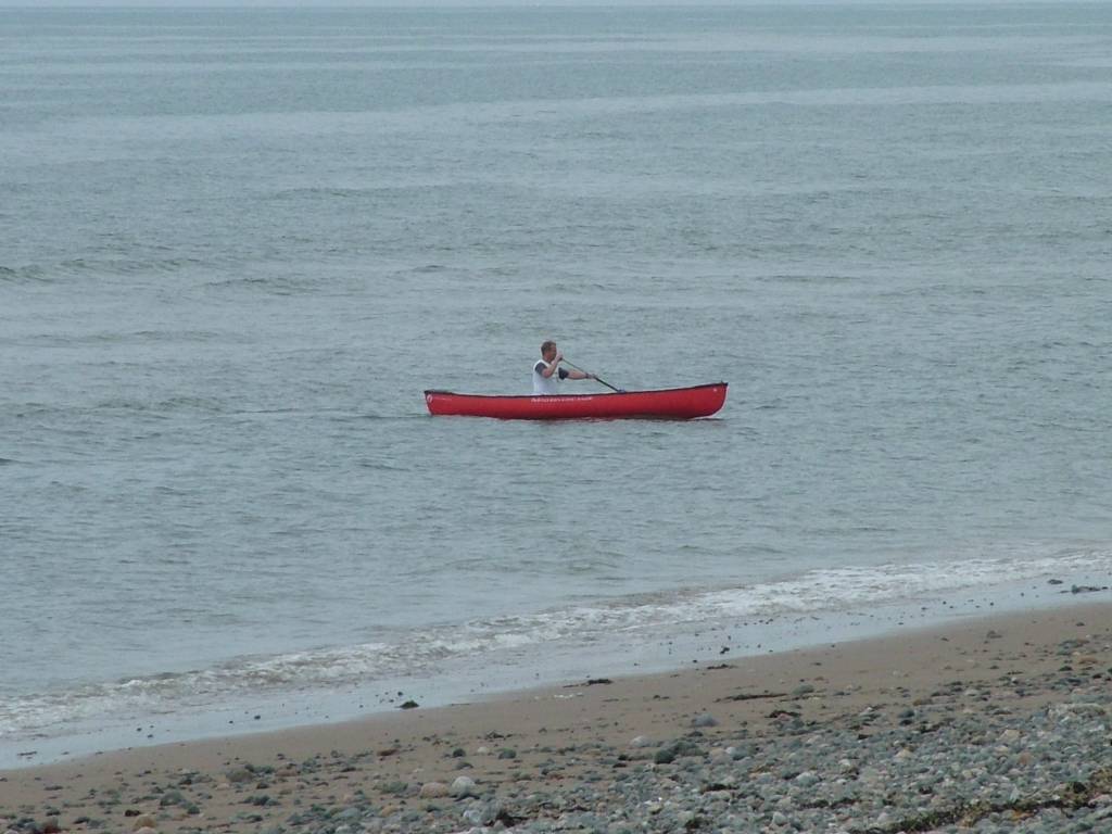 Click now to see this image full size.