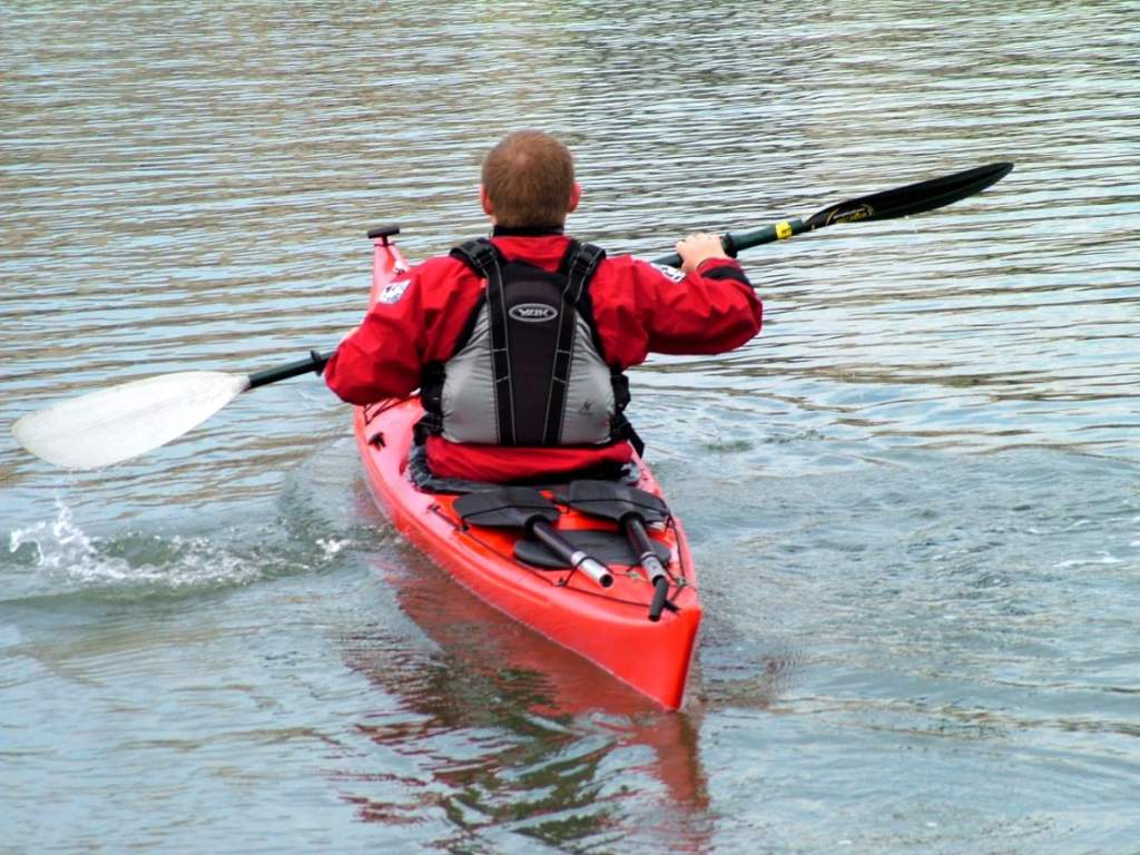 Click now to see this image full size.