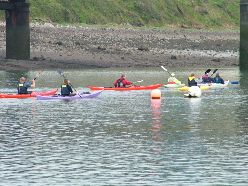 Click now to see this image full size.