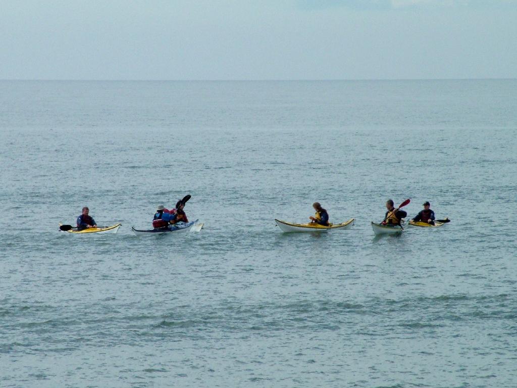 Click now to see this image full size.