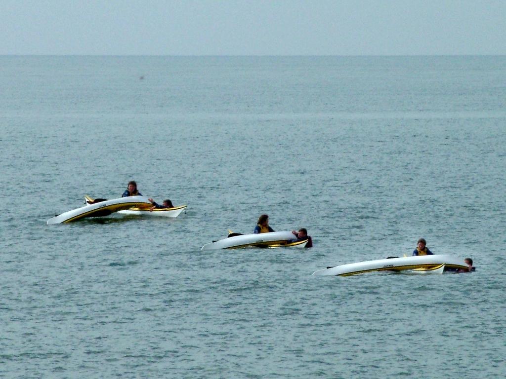 Click now to see this image full size.