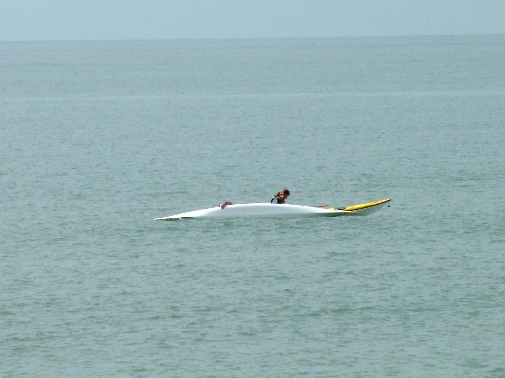 Click now to see this image full size.