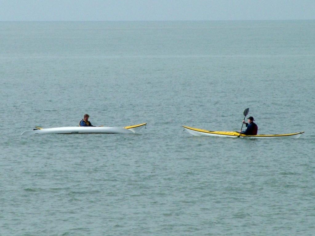 Click now to see this image full size.