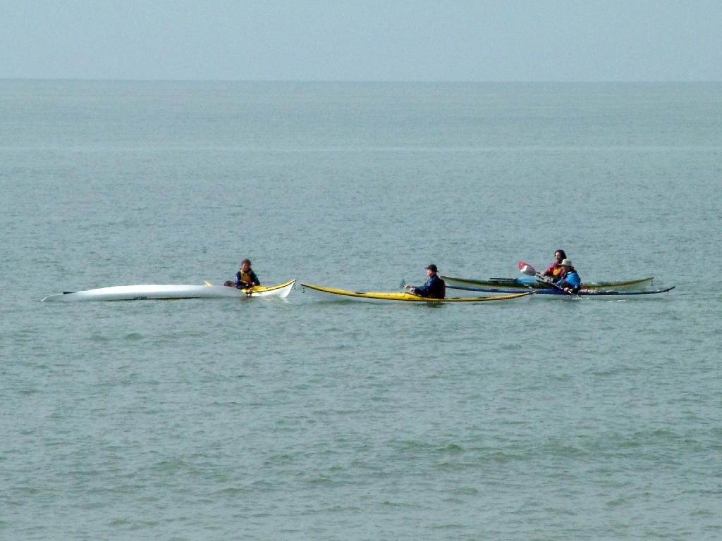 Click now to see this image full size.