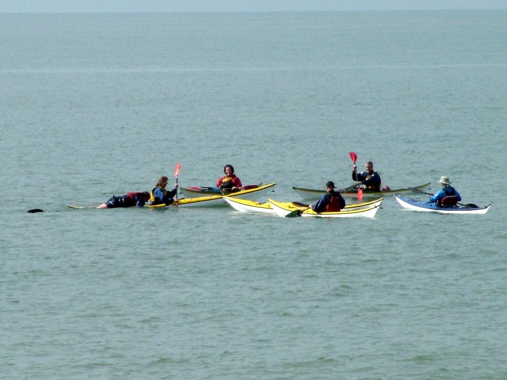 Click now to see this image full size.