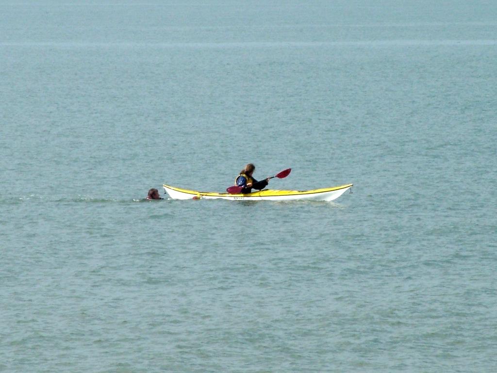 Click now to see this image full size.