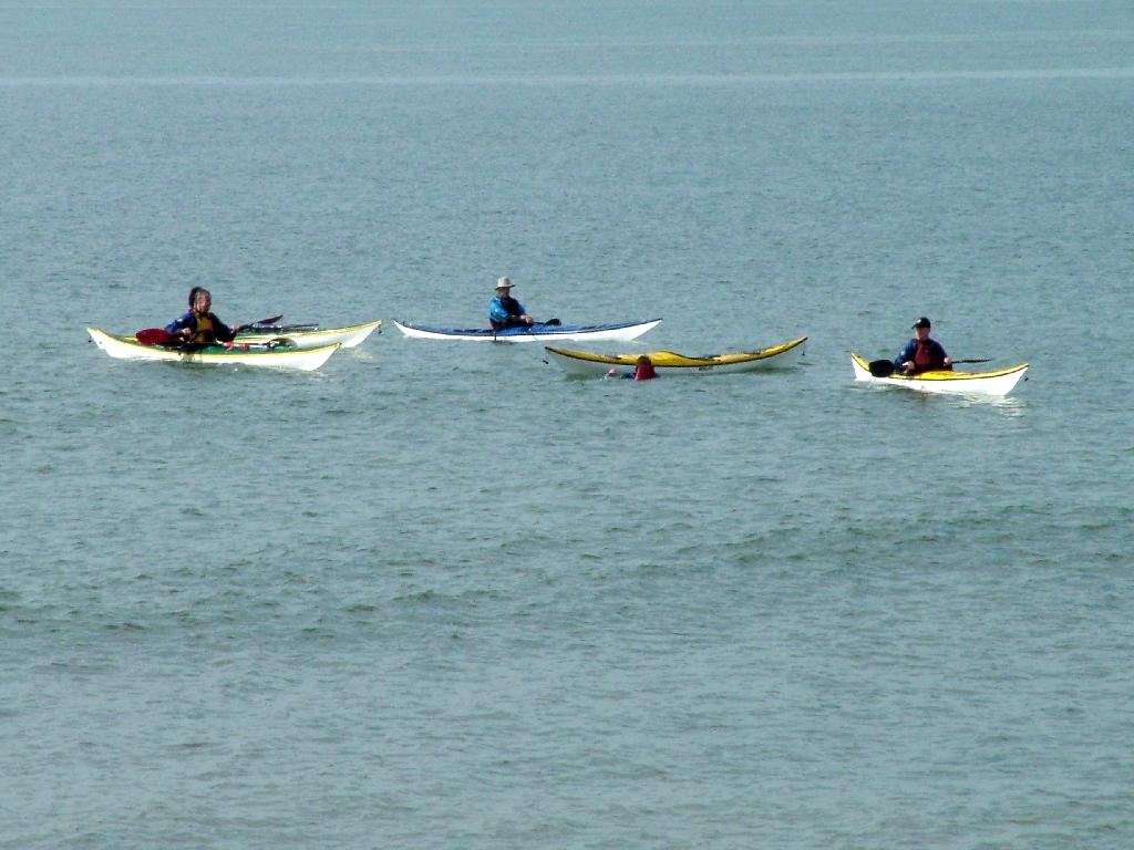 Click now to see this image full size.