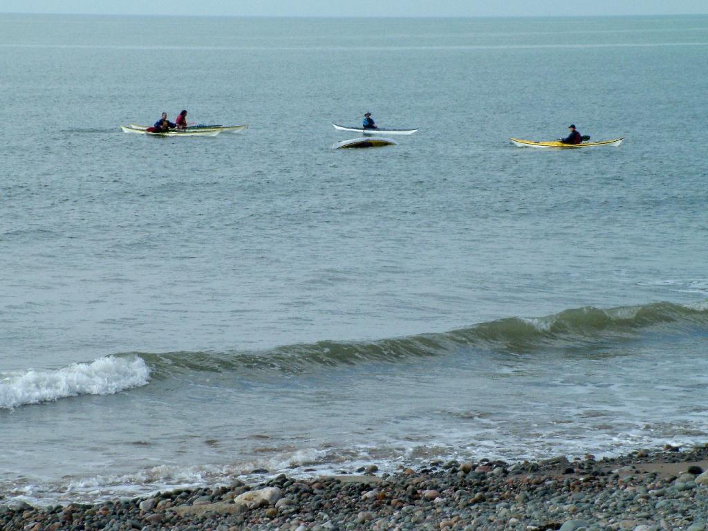 Click now to see this image full size.