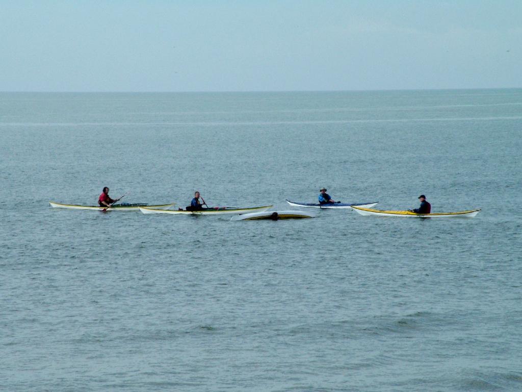 Click now to see this image full size.