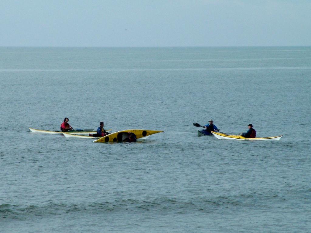 Click now to see this image full size.