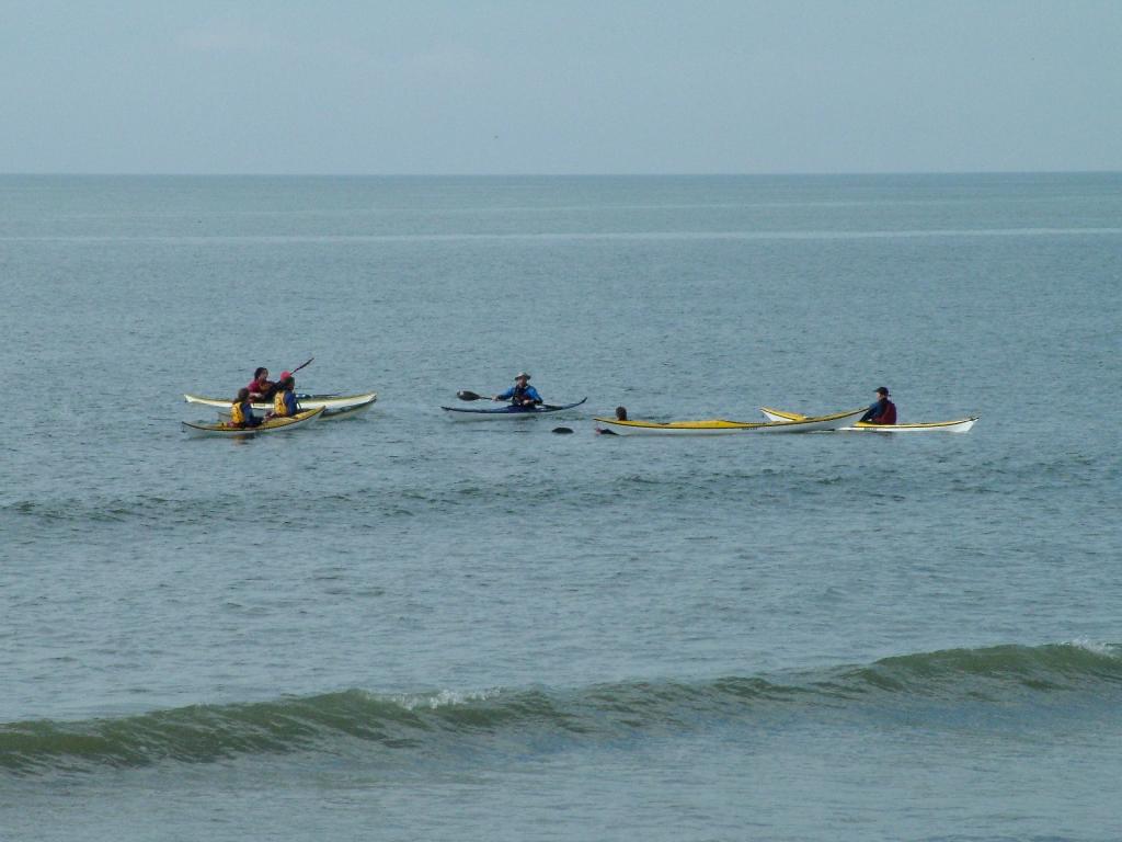 Click now to see this image full size.