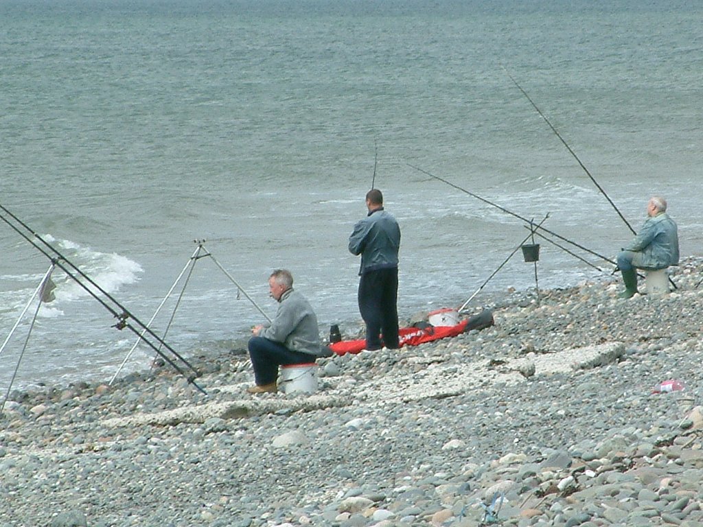 Click now to see this image full size.